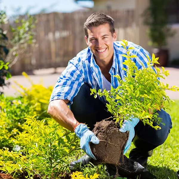 🌱 Tierra floreciente, naturalmente sin esfuerzo, con el poder de ECOCERT🔔 ¡Mejore su suelo AHORA y ahorre un 50%! 🌱