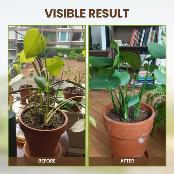 🌱 Tierra floreciente, naturalmente sin esfuerzo, con el poder de ECOCERT🔔 ¡Mejore su suelo AHORA y ahorre un 50%! 🌱